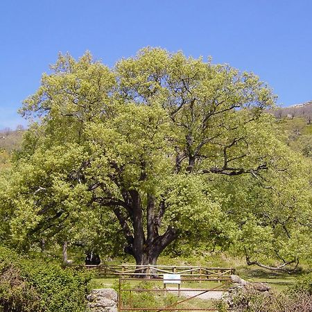 Casa Rural Romanejo Cabezabellosa Εξωτερικό φωτογραφία