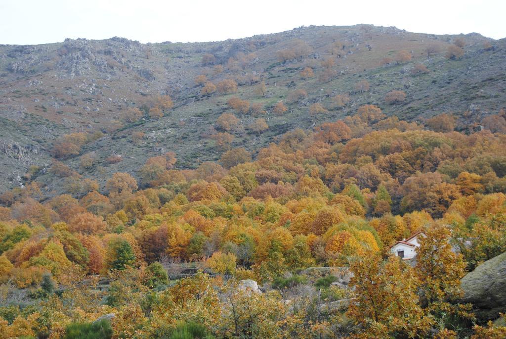 Casa Rural Romanejo Cabezabellosa Εξωτερικό φωτογραφία